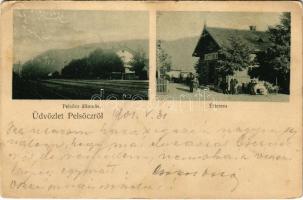 1901 Pelsőc, Pelsőcz, Pelsücz, Plesivec (Gömör); vasútállomás, étterem / railway station, restaurant (b)