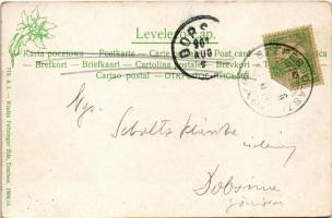 1907 Szepesolaszi, Szepes-Olaszi, Wallendorf, Spisské Vlachy; Hauptplatz mit Rathaus u. kath. Kirche...