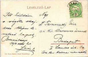 1911 Tiszolc, Tisovec; Tiszolc-völgyi fogaskerekű vasút Breznóbánya és Tiszolc között, iparvasút. W....