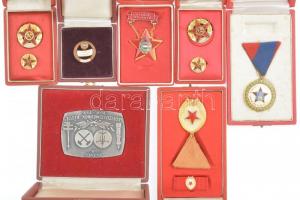 6db szocialista kitüntetés és egy emlékplakett, közte ~1960-1980 A Bányászat Kiváló Dolgozója miniatűrrel (2x), Munka érdemrend arany fokozat, nem eredeti mellszalagon, miniatűrrel szalagsávon, Kiváló Dolgozó, Veszprém megyéért kitüntetés mellszalagon, Tanácsi Munkáért - Veszprém bronz fokozatú jelvény + 1976. 25 éves a geofizikusmérnök képzés - NME egyoldalas fém emlékplakett (55x75mm), mind tokban T:2 patina