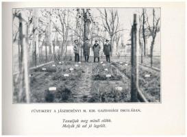 Ápoljuk legelőinket! - Régi képeslapfüzet mezőgazdasági munkálatokkal, 16 képeslappal: Mőcsény, Alsó...