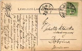 1907 Lőcse, Levoca; Sétatér, Megyeháza és a honvéd emlék. Feitzinger Ede No. 949L. 1905. / Promenade...