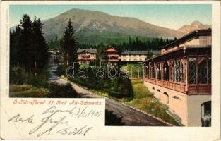 1901 Ótátrafüred, Altschmecks, Stary Smokovec (Tátra, Magas-Tátra, Vysoké Tatry); látkép, nyaraló, szálloda. Cattarino kiadása / general view, hotel, villa (EB)