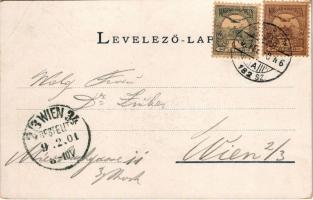 1901 Ótátrafüred, Altschmecks, Stary Smokovec (Tátra, Magas-Tátra, Vysoké Tatry); látkép, nyaraló, s...