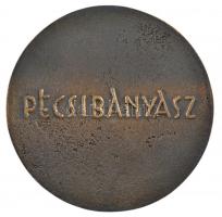 1971. "Pécsi Bányász - 50" kétoldalas, öntött bronz jubileumi emlékérem, eredeti tokban (8...