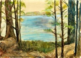 Olvashatatlan jelzéssel: Balaton, háttérben a Badacsony. Akvarell, papír. 30,5x42 cm