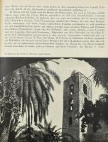1936-1937 3 db olasz utazási prospektus, sok képpel: Bologna, Palermo, Vicenza