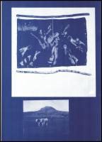 2 db Swierkiewicz Róbert művészetét bemutató kiadvány: Zsákovics Ferenc (szerk.): Swierkiewicz Róber...