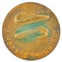 DN A horgászsportért aranyozott, egyoldalas öntött bronz emlékplakett eredeti tokban. Szign.: MR (59mm) T:1- patina