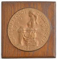 1975. Nádudvari Vörös Csillag MGTSZ 1950-1975 egyoldalas, öntött bronz plakett fa talpon (73mm) T:1-
