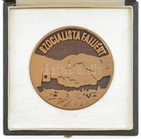 DN "MAE - Társadalmi tudományos tevékenységért / Szocialista faluért" kétoldalas bronz pla...