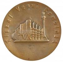 1987. Tiszai Vegyi Kombinát egyoldalas, öntött bronz emlékérem, hátlapján gravírozott (67mm) T:1-