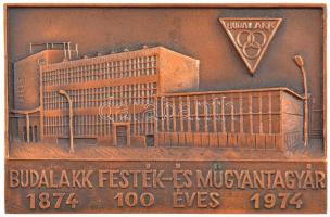 1974. 100 éves a Budalakk Festék- és Műgyantagyár egyoldalas, öntött bronz emlékplakett (146x96mm) T:1-