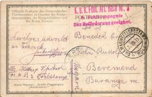 1915 Große Flaggengala (Kaisersalut). Offizielle postkarte des Österreichischen Flottenvereines zu G...