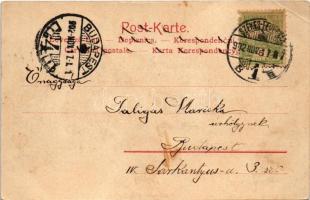 1902 Schwarmlinie mit Gegenseitigkeit. Verlag v. Alex. J. Klein. Aufnahme a. d. Atelier des k.u.k. H...