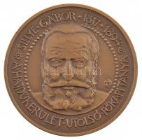 Tóth Sándor (1933-) Sillye Gábor 1817-1894 - A hajdúkerület utolsó főkapitánya / Hajdúkerület főkapitánya kétoldalas bronz emlékérem (42,5mm) T:1