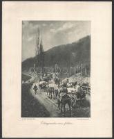 cca 1914-1918 3 db I. világháborús nyomat: Előnyomulás orosz földön. Az Érdekes Újság harctéri képeiből. (Az Országos Magyar Hadimúzeum Egyesület kizárólagos terjesztése). Bp., Légrády Testvérek kiadása. Minimális foltokkal. Sérülésekkel. 25x17 cm