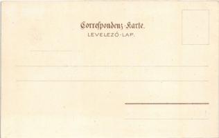 Ungarischer Magnat / Magyar mágnás. Bruchsteiner és Fia Műintézet / Hungarian folklore, nobleman. li...