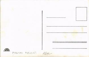 Magyar mágnás díszmagyarban / Hungarian folklore, nobleman. photo (fl)