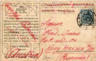 La Posta in Ungheria / The Post Office in Hungary. Hungarian post stamp and flag. Italian Lysoform a...