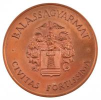 1997. 100 éves a Dr. Kenessey Albert Kórház 1897-1997 / Balassagyarmat CIVITAS FORTISSIMA kétoldalas bronz emlékérem (42,5mm) T:1- (PP) kis patina