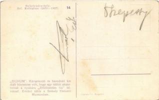 Székelyudvarhely, Odorheiu Secuiesc; Református Kollégium. "Signum" Káromkodó és hazudozó ...