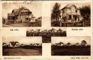 1931 Balatonmáriafürdő, Kék villa, Kovács villa, Pécsi telep nyaralói (fa)