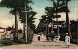 1914 Belleville, Avenue of Palms (Rb)