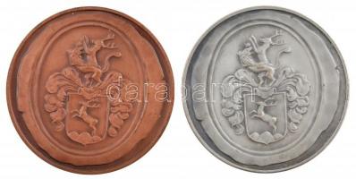 DN "Csapo Josef 1734-1799 Debreczen Városának Physikusa" ezüstpatinázott bronz és bronz em...