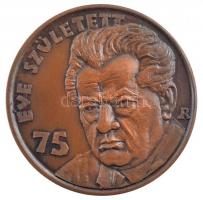 Rajki László (1939-) 1987. "Darvas József - A legnagyobb magyar falu / 75 éve született" bronz emlékérem (42,5mm) T:1-