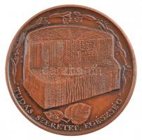 Lapis András (1942-) 1989. "Dr. Greguss Pál születésének századik évfordulója" bronz emlék...