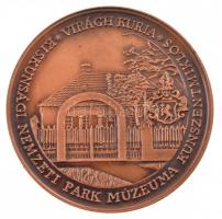 Bognár György (1944-) DN "Virágh Gedeon 1825-1872 - Az 1848-as Szabadságharc huszár őrnagya / V...