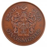 Fritz Mihály (1947-) DN "Néprajzi Múzeum - Budapest / Szabó Géza ötvösmester" bronz emléké...