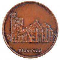 Fritz Mihály (1947-) 1989. 100 éve alapították a Budapesti Műszaki Egyetem Mezőgazdasági Géptan Tanszékét kétoldalas bronz emlékérem (42,5mm) T:1-