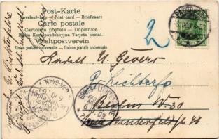 1903 Dogs. litho (EK)