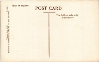 Montreal, Lachine Rapids, St. Lawrence River, steamship