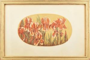 Lunczer Anikó (1942-): Íriszek. Színes linómetszet, papír, jelzett, számozott (1/100), üvegezett fakeretben, 25x38,5 cm