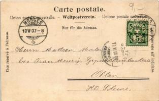 1900 Morges, Le Casino-Theatre / casino theater