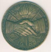 1985. "Éljen a népek örök barátsága" extrém nagyalakú, szocialista Br plakett T:2