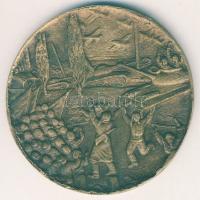 1985. "Éljen a népek örök barátsága" extrém nagyalakú, szocialista Br plakett T:2