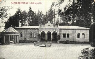1914 Bad Alexandersbad, Stahlquelle / spa, spring source (tear)