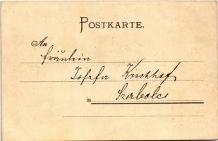 Zwickau, Marienkirche, Schwanenschloss / church, swan lake with castle. Verlag E. Walter Marx Art No...