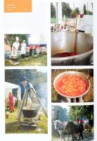 Szolnoki Etűdök. Szerk.: Gulyás Katalin, Kardos Tamás, Molnár Istvánné. Szolnok, 2008, Fotogruppe. R...