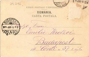 1905 Calimanesti, Baile / spa, bath. Fotogr. de Fr. Duschek (Rb)