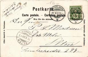 1900 Lauterbrunnen, general view, folklore. Floral (fl)