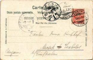 1907 Vitznau, Schnurtobelbrücke / rack railway. Carl Künzli No. 370. Art Nouveau, floral, litho (EK)