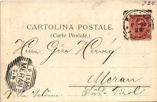 1896 (Vorläufer!) Genova, Genoa; Panorama da Villa Rosazza / port, railway station. Carlo Ottavo Hay...