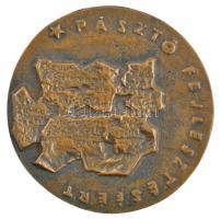 DN "Pásztó Fejlesztéséért" kétoldalas Br plakett (105mm) T:2 patina