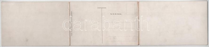 Hochzeit / Dog wedding, humour. Ottmar Zieher. 3-tiled folding panoramacard s: P. O. Engelhard (hajt...