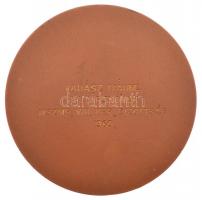 1980. "Eredményes Propaganda Munkáért" egyoldalas Br plakett, hátoldalán gravírozva (70mm)...